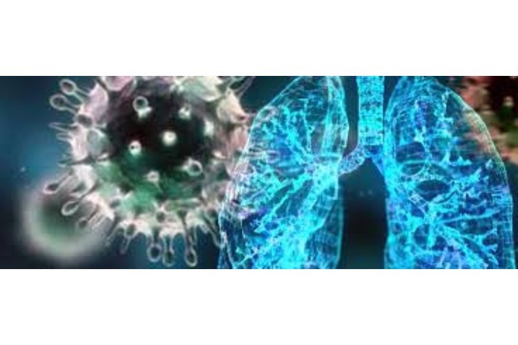 Prevenzione delle malattie trasmissibili e profilassi internazionale  Polmonite da nuovo coronavirus (2019 – nCoV) in Cina