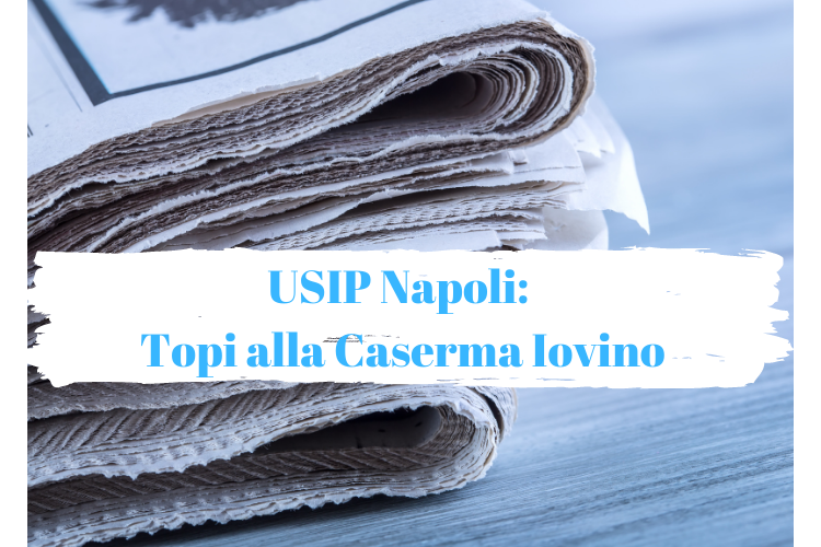 USIP Napoli| Ci sono i topi alla Iovino